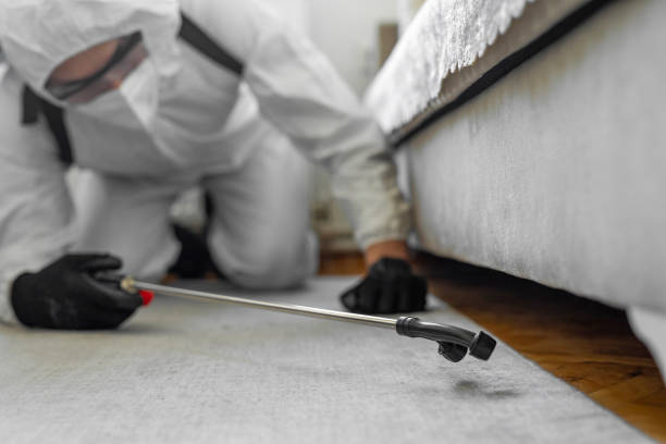 Professional Bed Bug Control technician working in Petersburg, IN