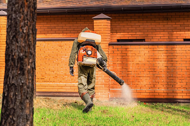 Trusted Rodent Control service in Petersburg, IN - Nex Pest Control